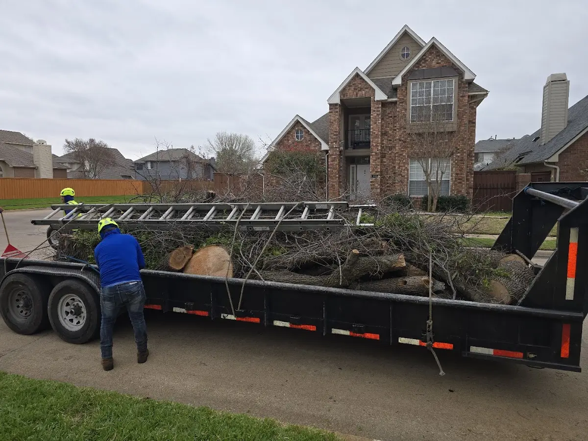 Expert Tree Fertilization with proper safety equipment in Unity